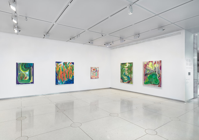 Installation view of Paintings by Shara Hughes