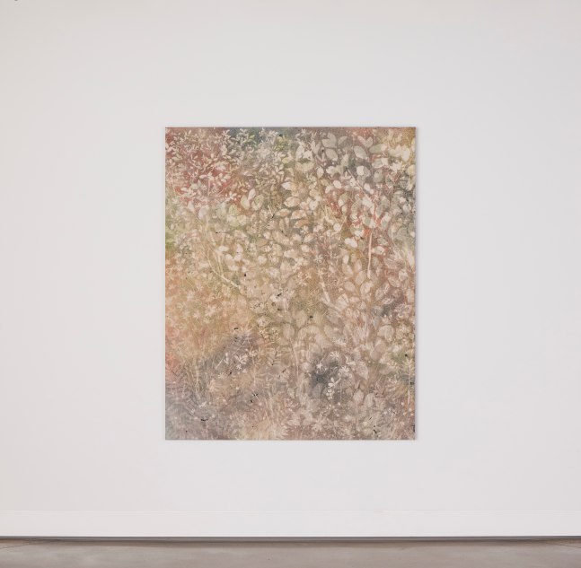 Installation view, Sam Falls, Nothing Without Nature, Cookie Factory, Denver, 2025