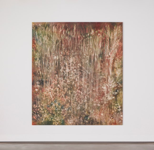 Installation view, Sam Falls, Nothing Without Nature, Cookie Factory, Denver, 2025