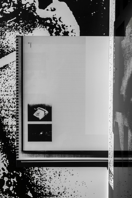 Installation view of paintings by Adam Pendleton