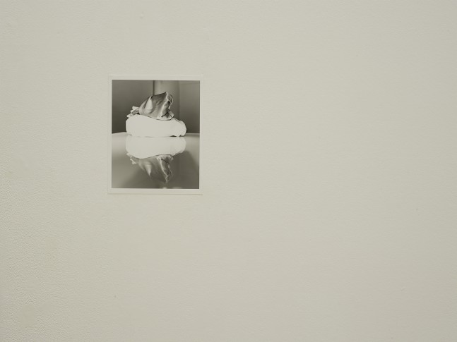 Installation view of works by Trisha Donnelly
