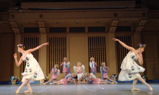 Performance of Ballet dancers