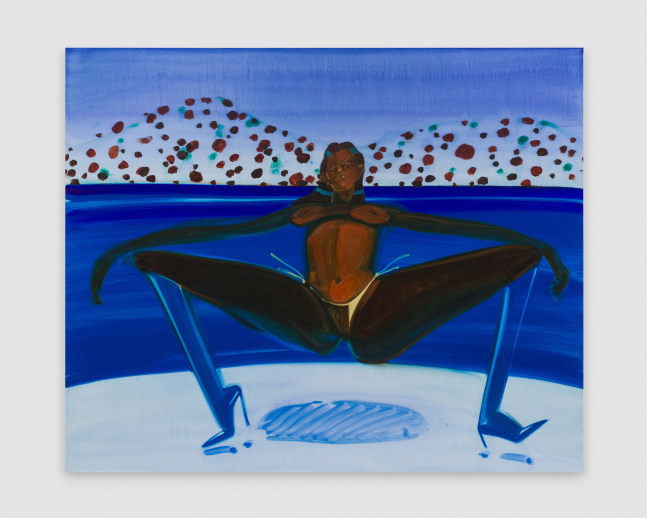 Taka Taka, Wedgie Tanga (Ice)

2023

Oil on linen

180 x 220 cm / 70 7/8 x 86 5/8 in

&amp;copy; Sofia Mitsola