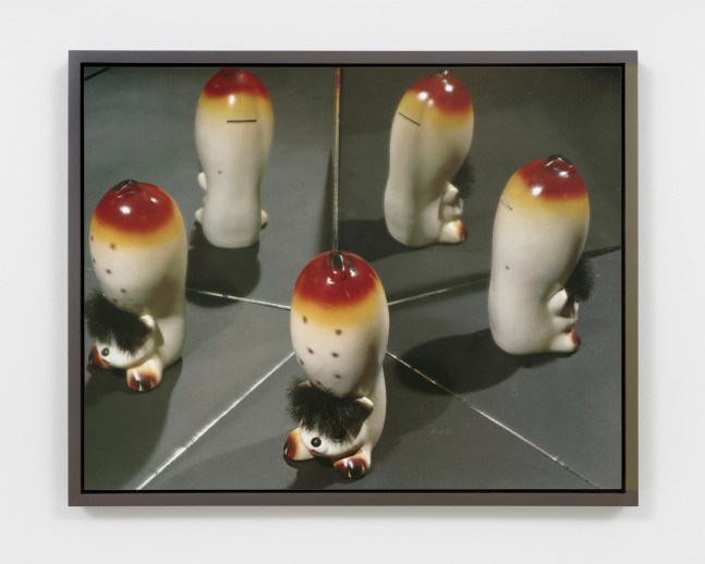 SQUIRREL, MULTIGRAPH
2020
Dye sublimation print on aluminum
Unique
Image 40 x 51 cm / 15 3/4 x 20 inches
BLALO47979