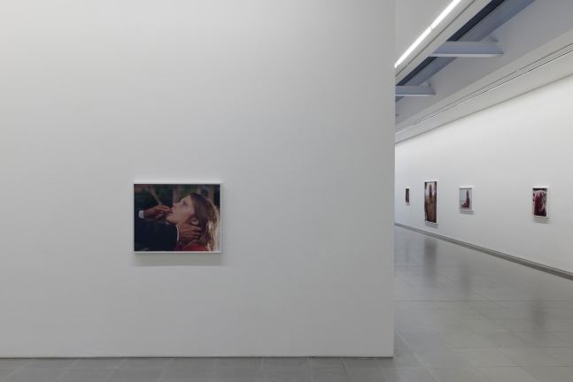 Installation view of photographs by Torbjørn Rødland