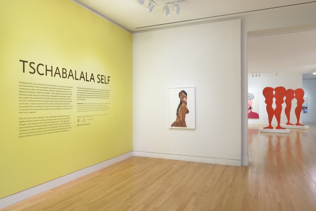 Installation view of paintings and sculptures by Tschabalala Self