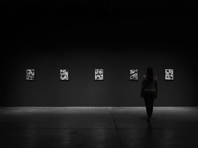 Installation view of works by Adam Pendleton