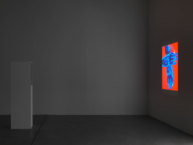 Installation view of Trisha Donnelly light and film installations