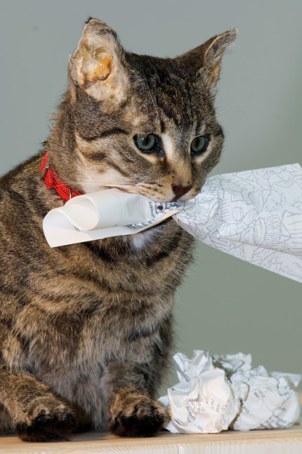 Installation view of sculptures by Liam Gillick