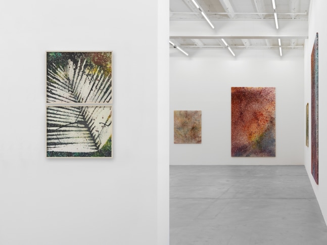 Installation view of Sam Falls paintings exhibition
