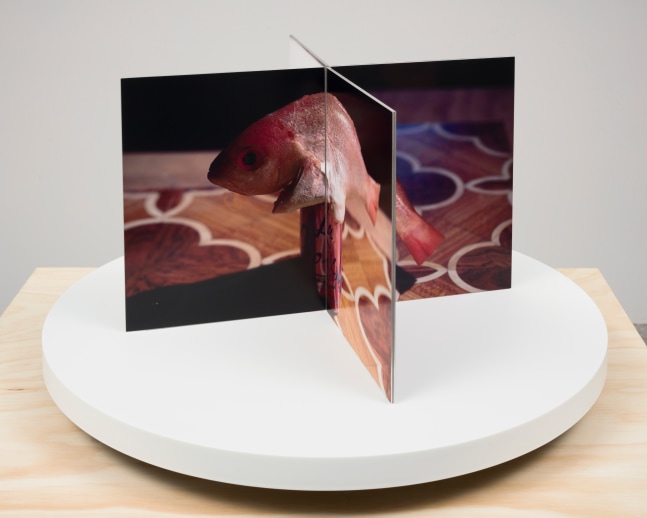 FILM-OBJECT (FISH AND WATER)

Dye sublimation prints on aluminum, book cloth, motorized turntable display

Unique

34 x 59.5 x 59.5 cm / 13 3/8 x 23 3/8 x 23 3/8 inches

BLALO47989