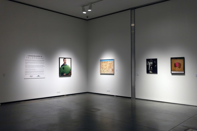 Installation view of Works by Lucas Blalock