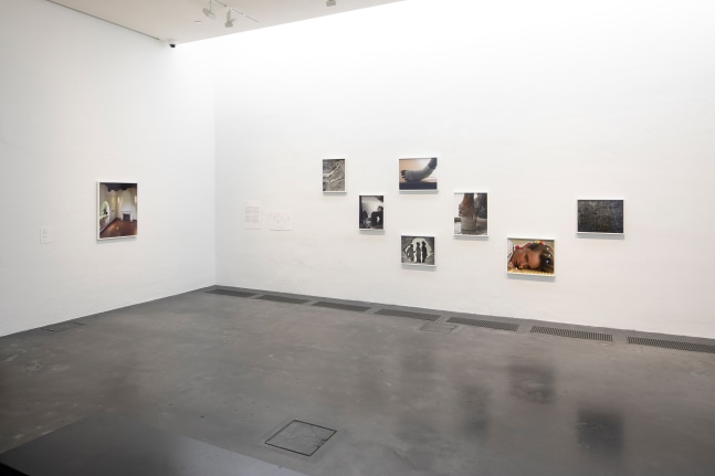 Installation view of photographs by Torbjørn Rødland