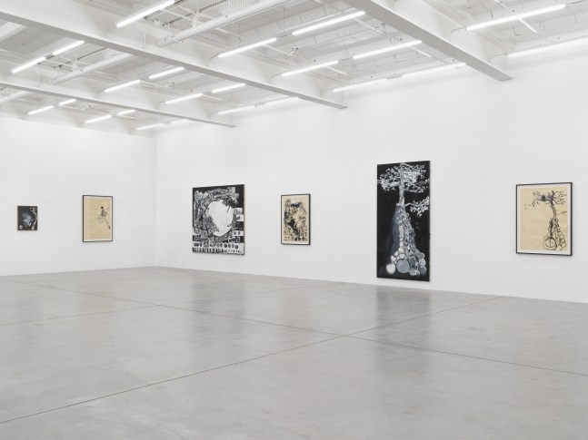 Installation view of Tobias Pils paintings and ink works on paper exhibition