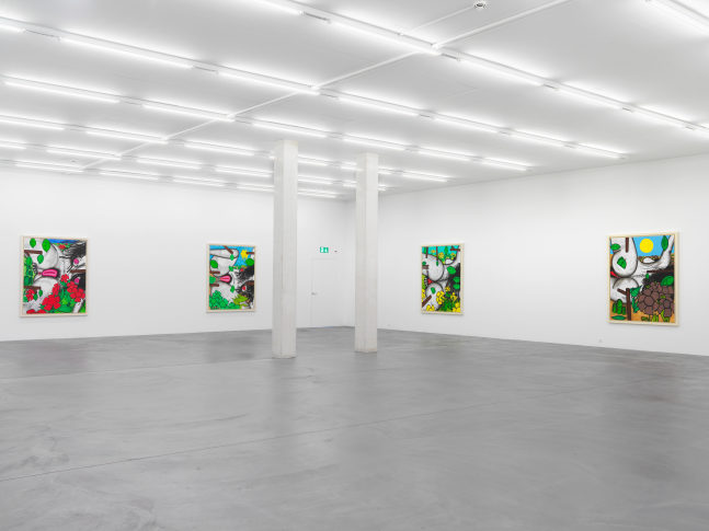 Installation view of Carroll Dunham painting and drawing exhibition