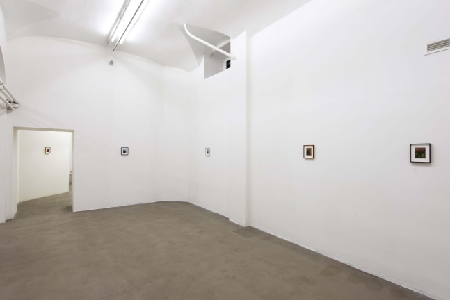 Installation view of sculptures and paintings by Sam Falls