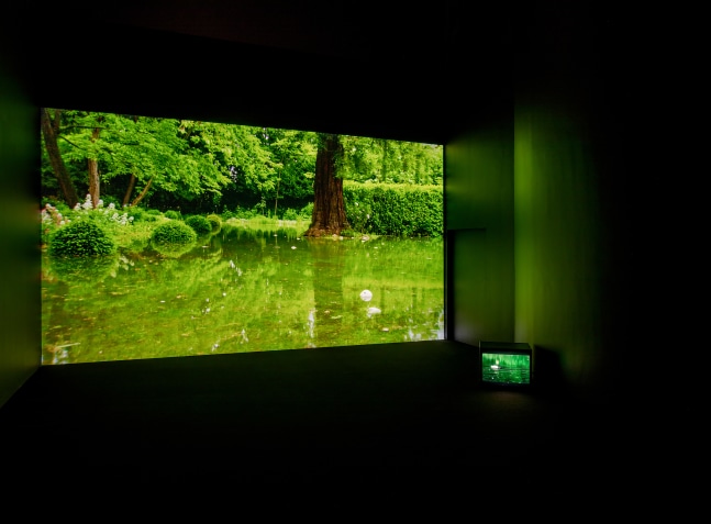 Installation view of video work by Douglas Gordon