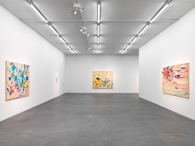 Installation view of Sue Williams painting exhibition