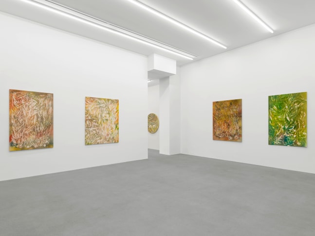Installation view, Sam Falls, Galerie Eva Presenhuber, Waldmannstrasse, Zurich, 2025