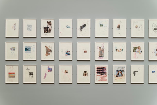 Installation view of paintings by Michael Williams