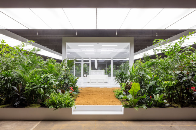 Installation view of living art installation by Doug Aitken