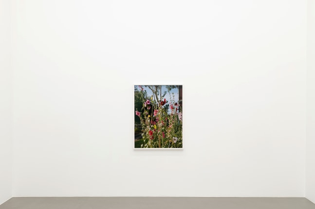 Installation view, Torbj&amp;oslash;rn R&amp;oslash;dland, Slow Life Strategies, Galerie Eva Presenhuber, Vienna, 2025