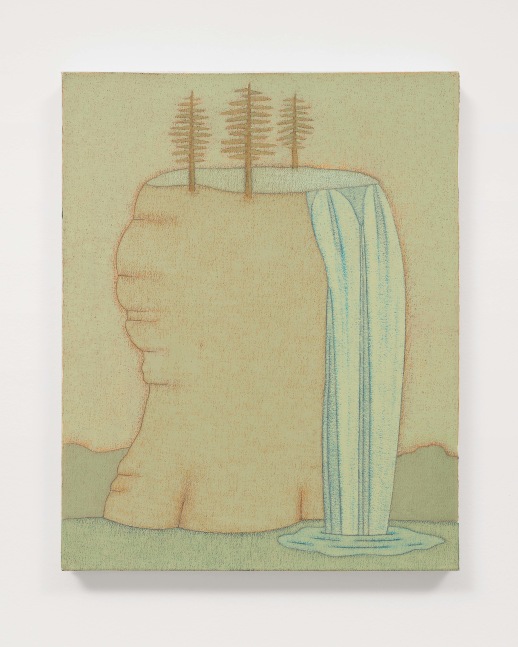 HEADDRESS

2011

Oil on canvas

51 x 40.5 cm / 20 x 16 in

DILG 48565