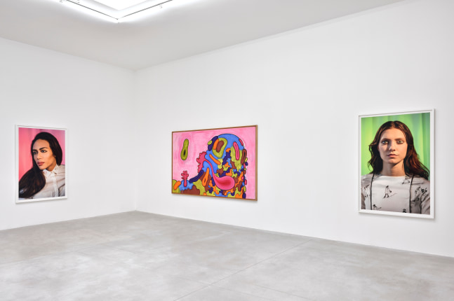 Installation view, Carroll Dunham &amp;amp; Laurie Simmons, Consortium Museum, Dijon, 2024