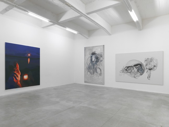 Installation view of paintings by Tobias Pils and Michael Williams