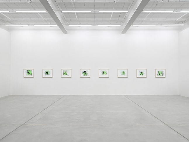 Installation view of drawings by Carroll Dunham