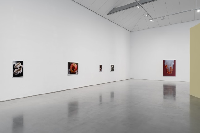 Installation view, Torbj&amp;oslash;rn R&amp;oslash;dland, Songs for the Sun, Yuz Museum, Shanghai, 2025