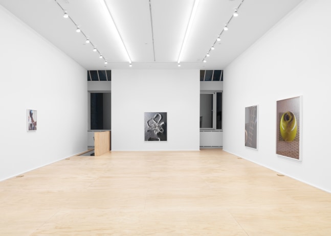 Installation view of Torbjørn Rødland photography and film exhibition