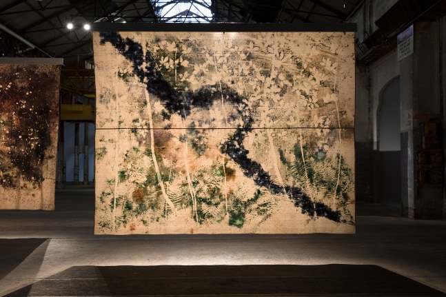 Installation view of paintings by Sam Falls