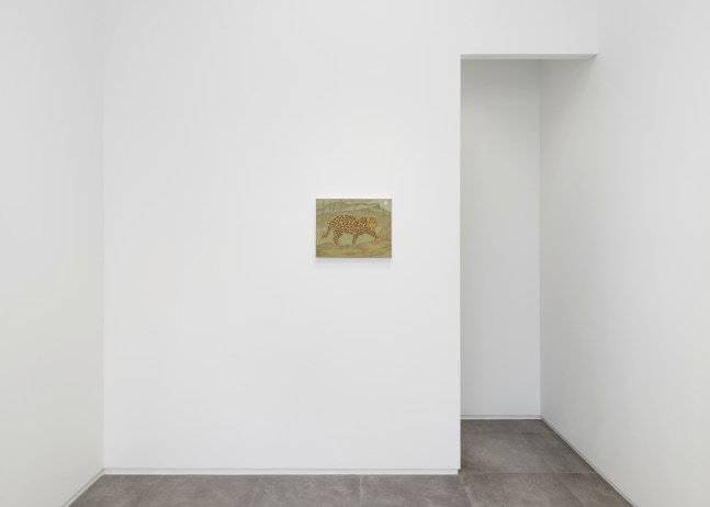 Installation view, John Dilg, Perpetual World, Galerie Eva Presenhuber x P21, Seoul