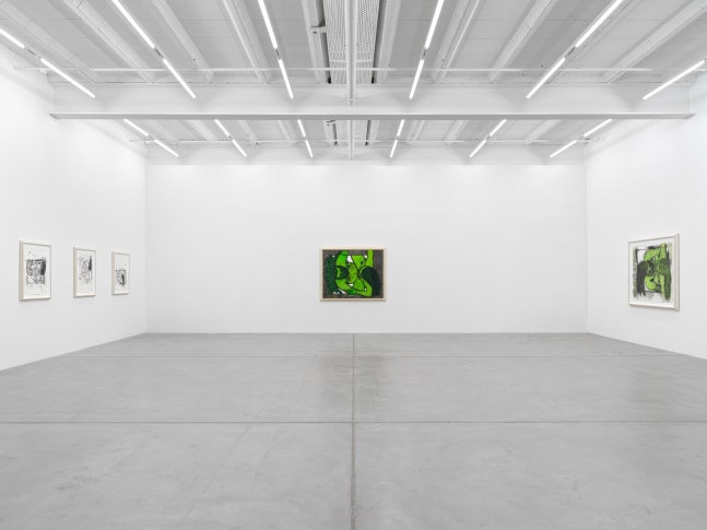 Installation view of paintings and drawings by Carroll Dunham