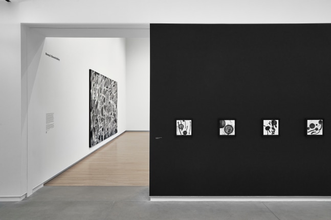 Installation view, Adam Pendleton, To Divide By, Mildred Lane Kemper Art Museum, St. Louis, 2023