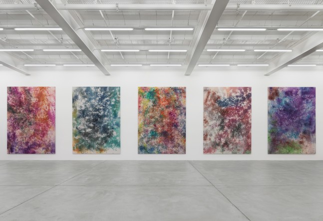 Installation view of Sam Falls paintings exhibition