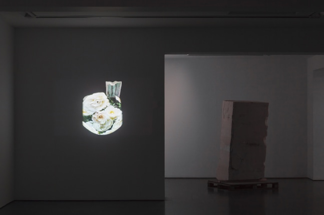 Installation view of videos and sculptures by Trisha Donnelly