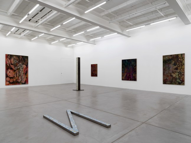 Installation view of Sam Falls paintings and sculptures exhibition