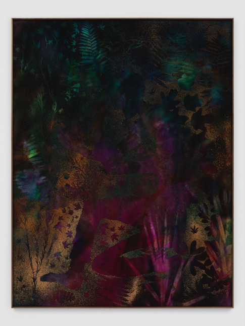 Canvas work by Sam Falls