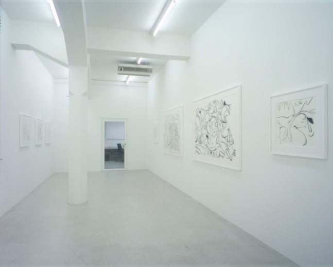 Installation view of Sue Williams painting exhibition