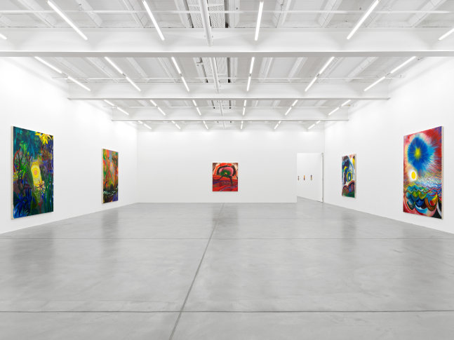Installation view of Shara Hughes paintings