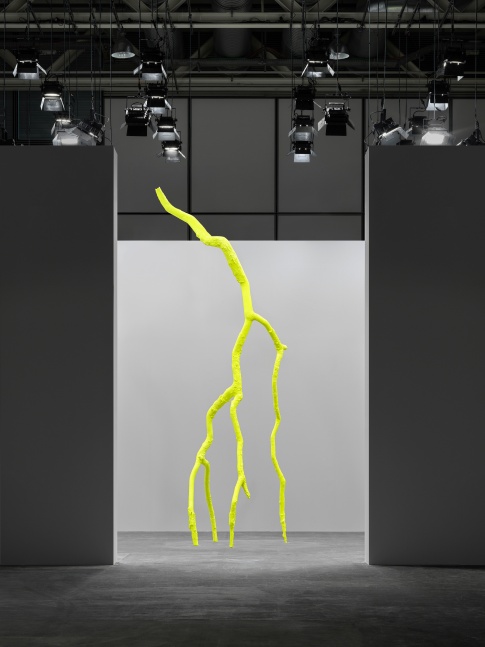 Installation view, Ugo Rondinone, luminous light, Art Basel Unlimited, Basel, 2024