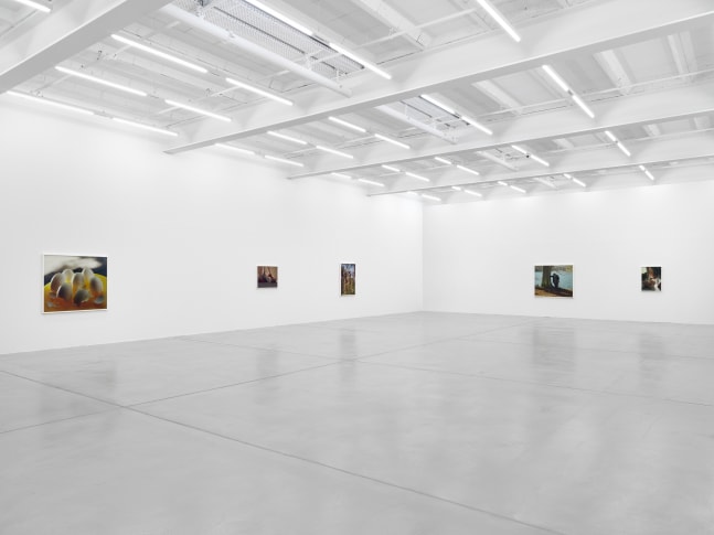 photograph by Torbjørn Rødland