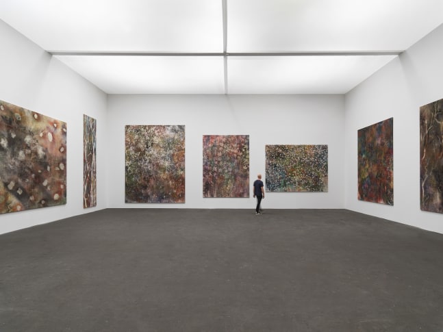 Installation view of paintings by Sam Falls