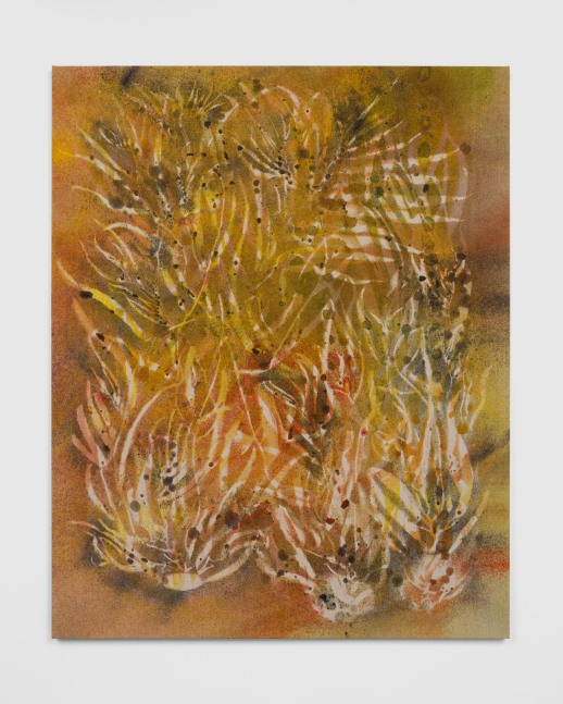 Golden Sun (San Simeon)

2025

Pigment on canvas

152.5 x 122 cm / 60 x 48 in

&amp;copy; Sam Falls