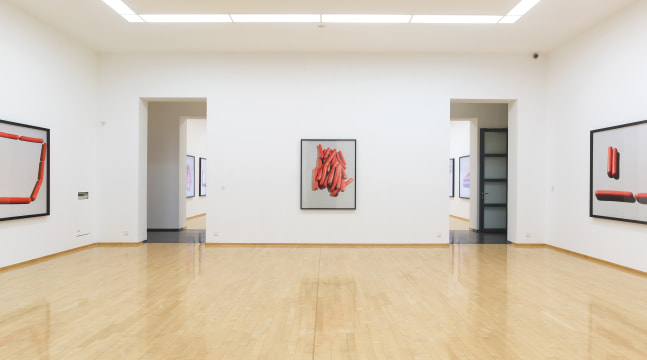 Installation view of Works by Lucas Blalock