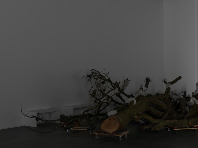 Installation view of sculptures by Trisha Donnelly