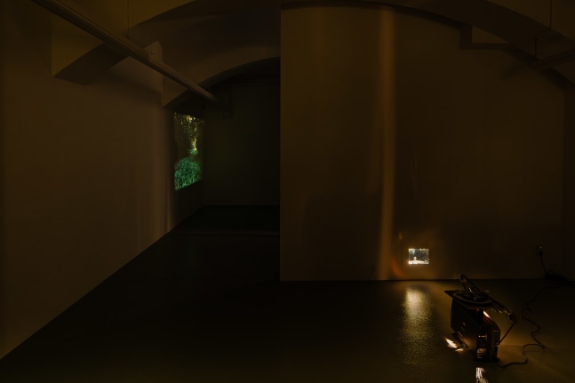 Installation view, Antoinette Zwirchmayr, In the stranglehold of ivy, curated by Tobias Pils, Galerie Eva Presenhuber, Vienna, 2023