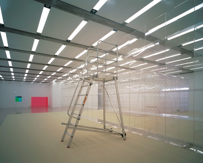 Installation view of wall works by Gerwald Rockenschaub